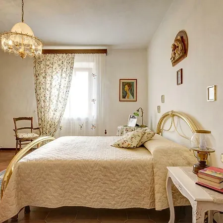 Il Sale Della Terra