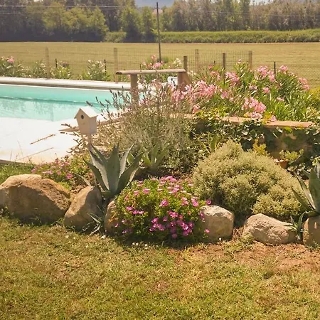Il Sale Della Terra Apartment Guardistallo