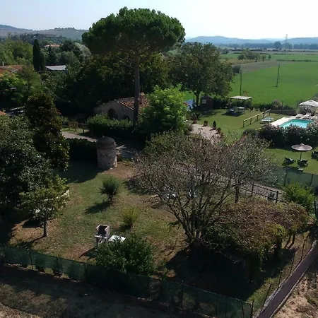 Il Sale Della Terra