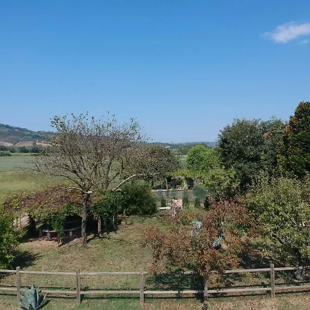 Il Sale Della Terra
