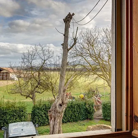 Il Sale Della Terra * Guardistallo